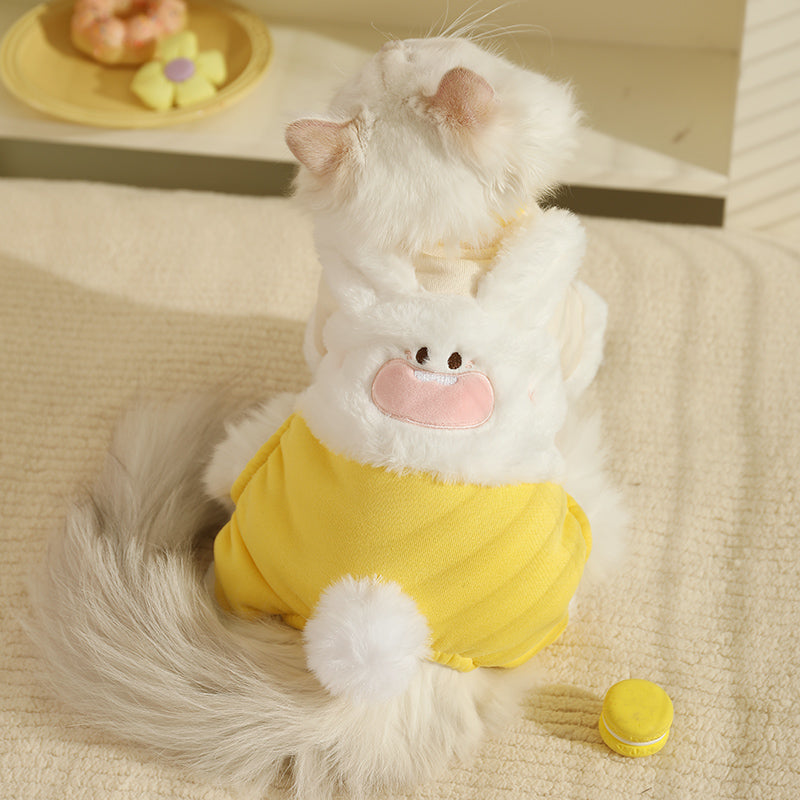 Cat Clothes Pet Four-Legged Clothes Fall and Winter Heattech Anti-Lint Jiafei into Cat Kittens Four-Legged Clothes Winter Clothes