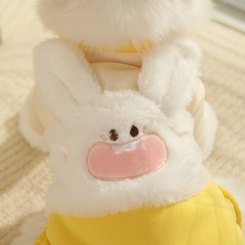 Cat Clothes Pet Four-Legged Clothes Fall and Winter Heattech Anti-Lint Jiafei into Cat Kittens Four-Legged Clothes Winter Clothes