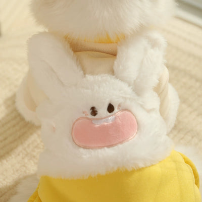 Cat Clothes Pet Four-Legged Clothes Fall and Winter Heattech Anti-Lint Jiafei into Cat Kittens Four-Legged Clothes Winter Clothes