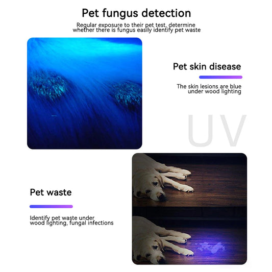 365 UV Veterinary Wood Lamp Pet Fungus Detection Waterproof Flashlight Skin Ultraviolet Light Cat Moss Tinea Light Black Mirror
