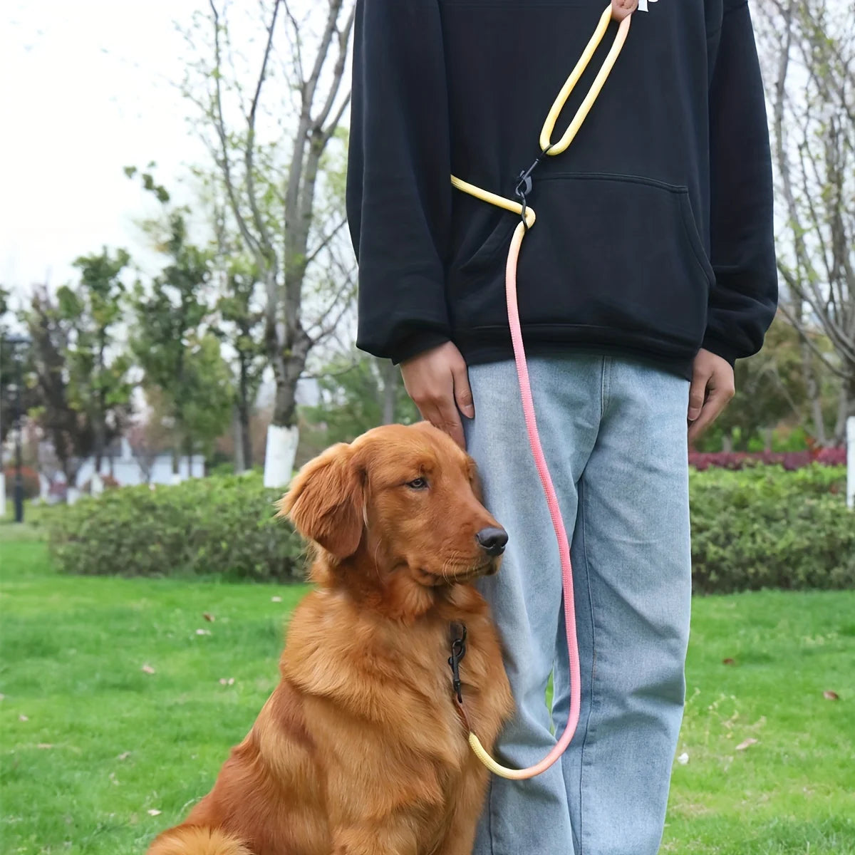 1pc Colorful Gradient Dog Leash, Multifunctional Dog Round Rope Dog Slip Leash Hands-free Crossbody Dog Walking Leash