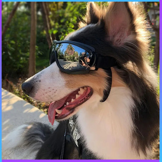 Adjustable Pet Dog Goggles Sunglasses Anti-UV Sun Glasses Eye Wear Protection Waterproof Windproof Sunglasses Pet Dog Supplies