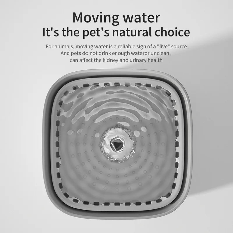 3L Whisper-Quiet Cat Water Fountain Dispenser
