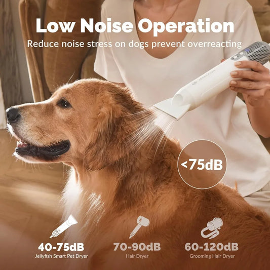 Dog Dryer Pet Grooming, handheld 1.21 lb lightweight dog hair dryer, portable High Speed dog hair dryer traveling home