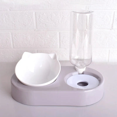 Automatic Pet Bowl with Water Bottle & Stand color c