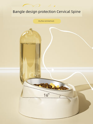 Automatic Double Bowl for Cats & Dogs